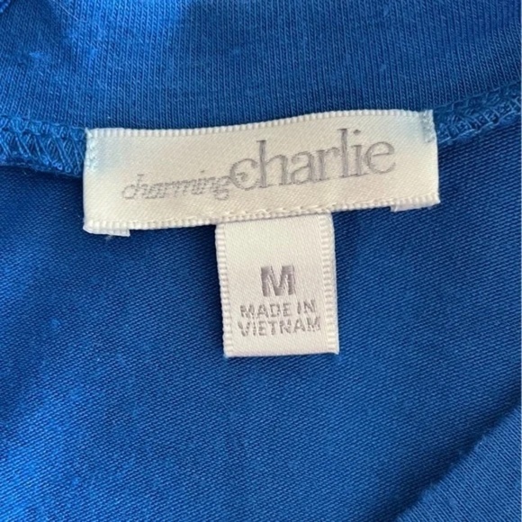 Charming Charlie | Royal Blue Burnout Stripe Crew Neck Knit Top, Medium - Picture 5 of 6